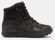 Lightspeed Image ID: 12279