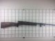 Lightspeed Image ID: 15394