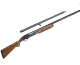 Lightspeed Image ID: 29761