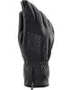 Lightspeed Image ID: 12774